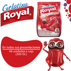 Royal Gelatina en Polvo Frambuesa Caja 48x200g